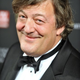 Illustration for article titled Ladies, Stephen Fry Knows You Like Sex. Really.